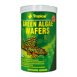 Сухой корм Tropical Green algae wafers для донной рыбы  фото