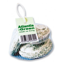 Камень Атлантида, зеленый фото