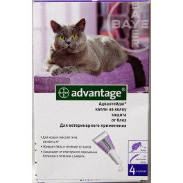 Капли Bayer Advantage Адвантэйдж 80 от блох для котов больше 4 кг, пипетка 0,8мл фото
