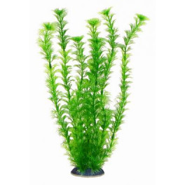 Аквариумное растение Aquatic Plants №345, 34 см. фото