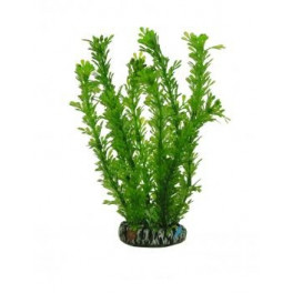 Аквариумное растение Aquatic Plants №192, 19 см. фото
