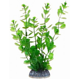 Аквариумное растение Aquatic Plants №195, 19 см. фото