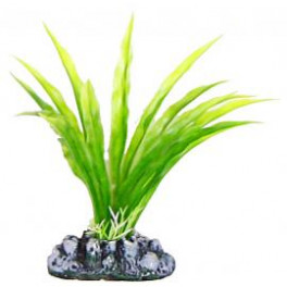 Аквариумное растение Aquatic Plants №138, 13 см. фото