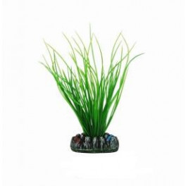 Аквариумное растение Aquatic Plants №139, 13 см. фото