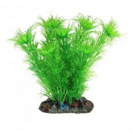 Аквариумное растение Aquatic Plants №1311, 13 см. фото