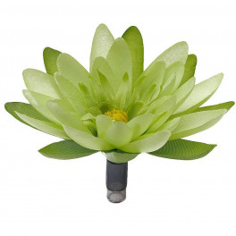 Аквариумное растение Fluval Chi Lily Flower фото