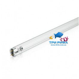 Лампа бактерицидная Philips TUV 15W G13 UV-C  фото
